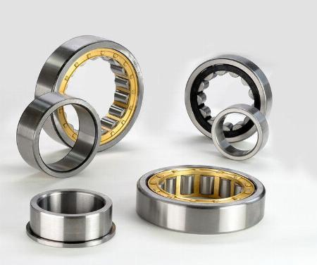 Cylindrical Roller Bearing NUP2310