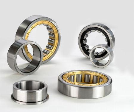 Cylindrical Roller Bearing 102605 M